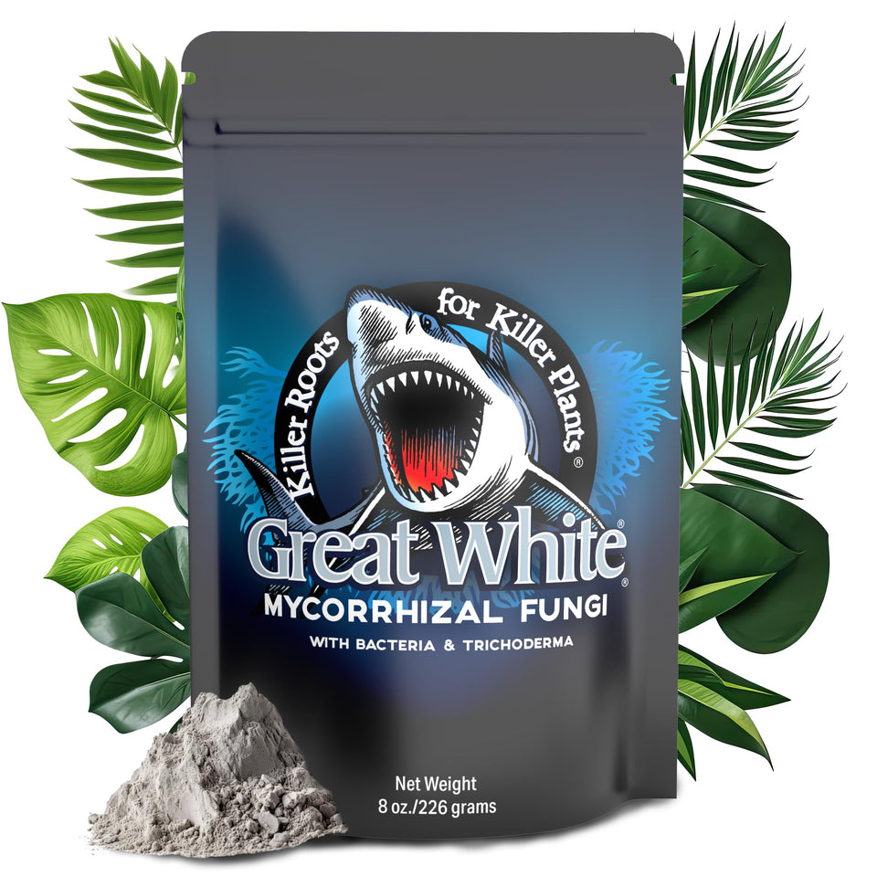 Plant Success Great White bottle pour enables mess-free application for seedlings and transplants.