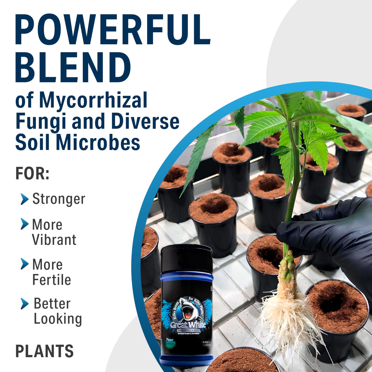 Hydroponics or soil-less setup compatible with Great White