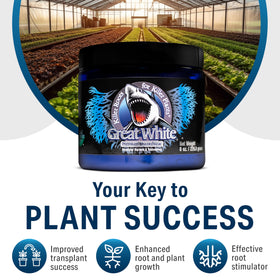Plant Success Great White bottle on packaging scene with 4 oz concentrate