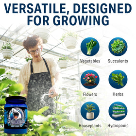 Young plant with blooms and fruit development using Great White