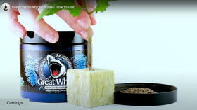 Great White root growth visualization with beneficial microbes aiding young plants