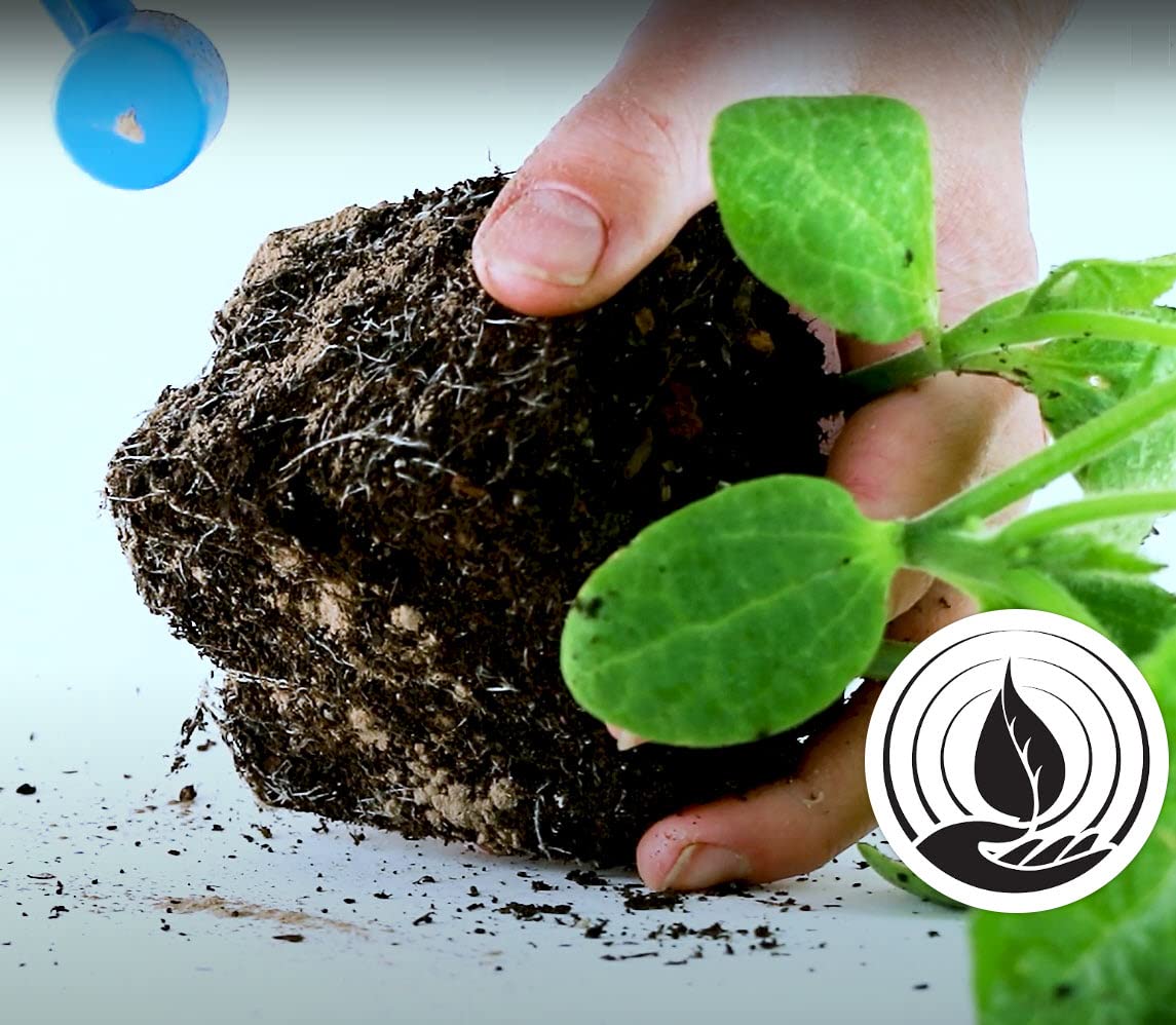 Great White seed germination scene with microbial blend aids early growth