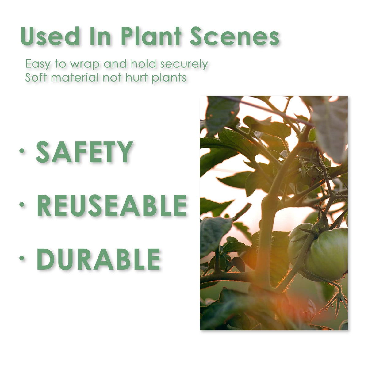 Plantactic weatherproof garden ties resist sun and dirt for durability.