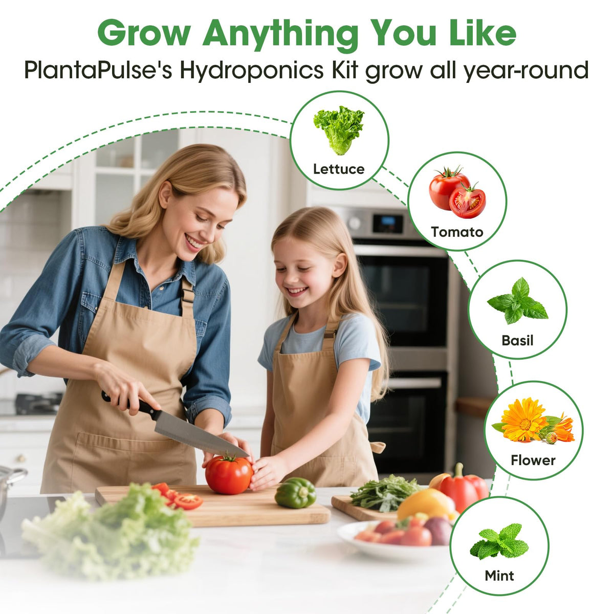 PlantaPulse A&B plant food, with refills, fuels faster root development.
