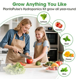 PlantaPulse A&B plant food, with refills, fuels faster root development.