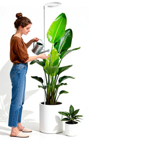 PlantaPulse Grow Lights: easy assembly for quick setup of your indoor garden.