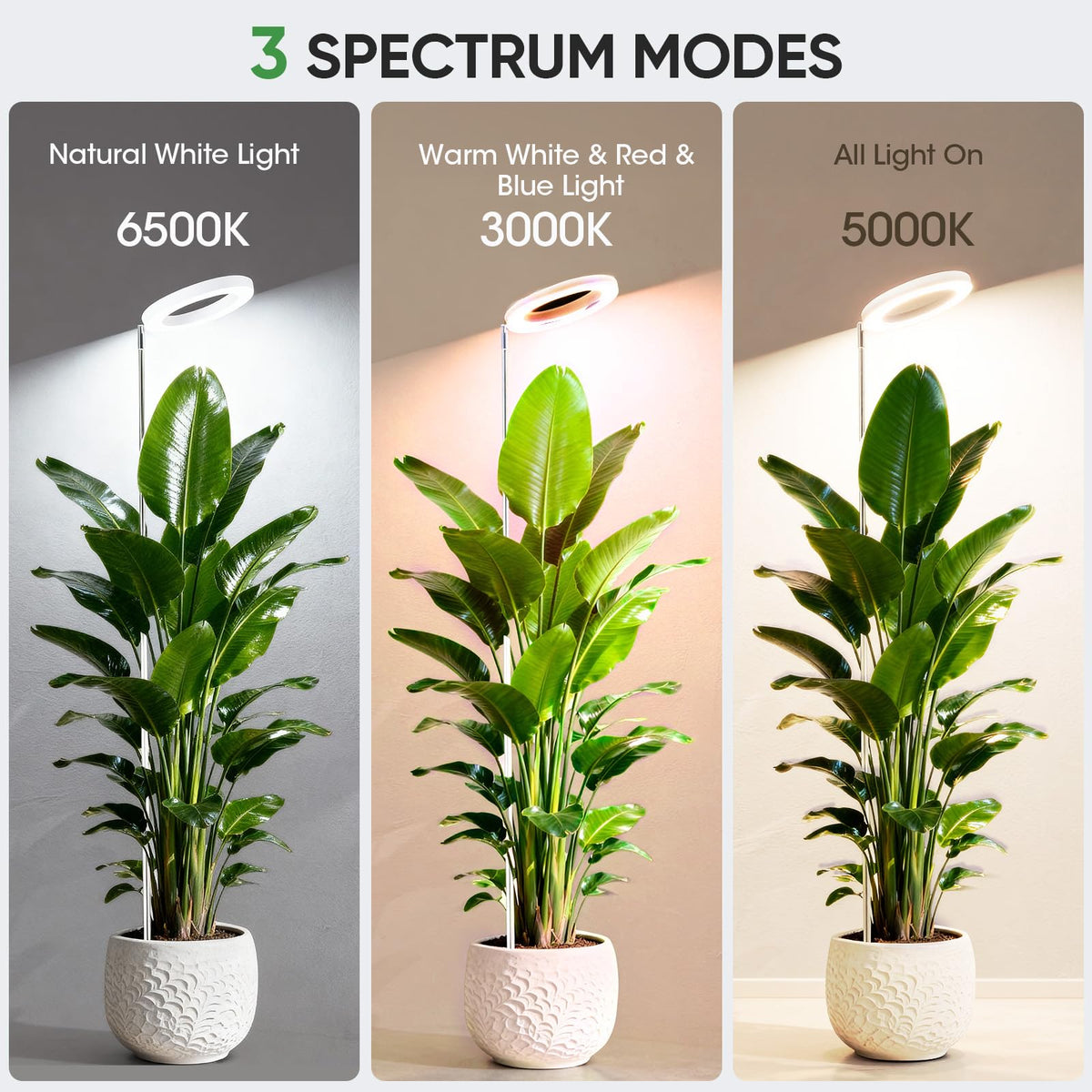 PlantaPulse grow lights height-adjustment demonstrates adaptable coverage as plants grow.