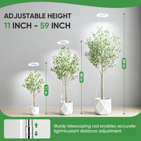 PlantaPulse timer settings provide automatic daily illumination without manual reprogramming.