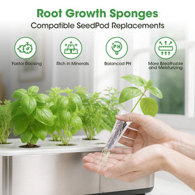 PlantaPulse hydroponic sponges, 50-pack, support healthy root growth.