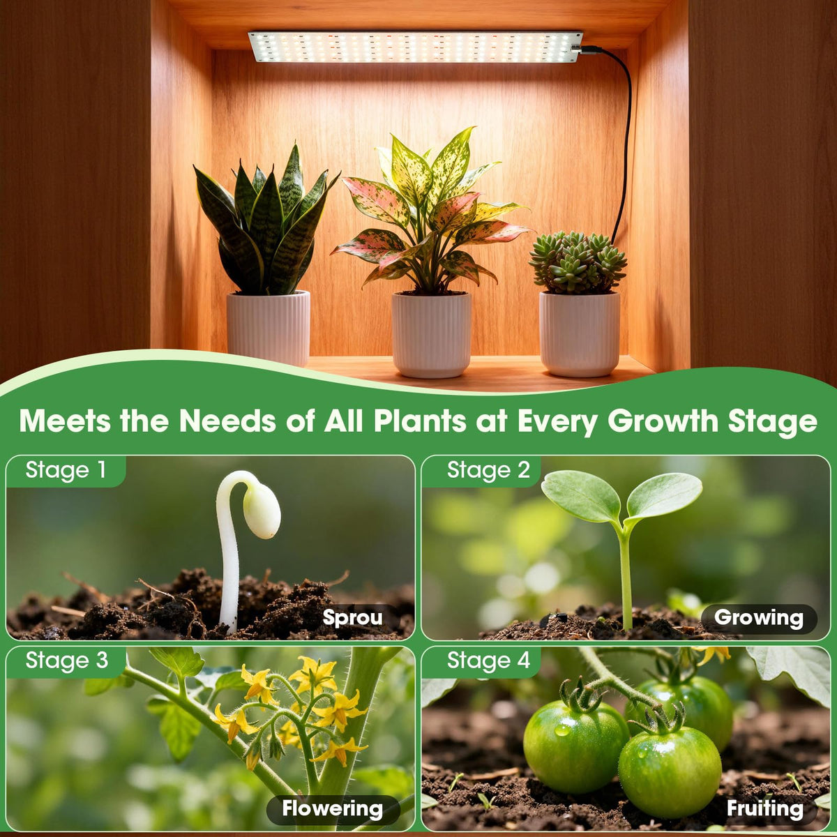 PlantaPulse ultra-thin panels on a shelf provide discreet lighting