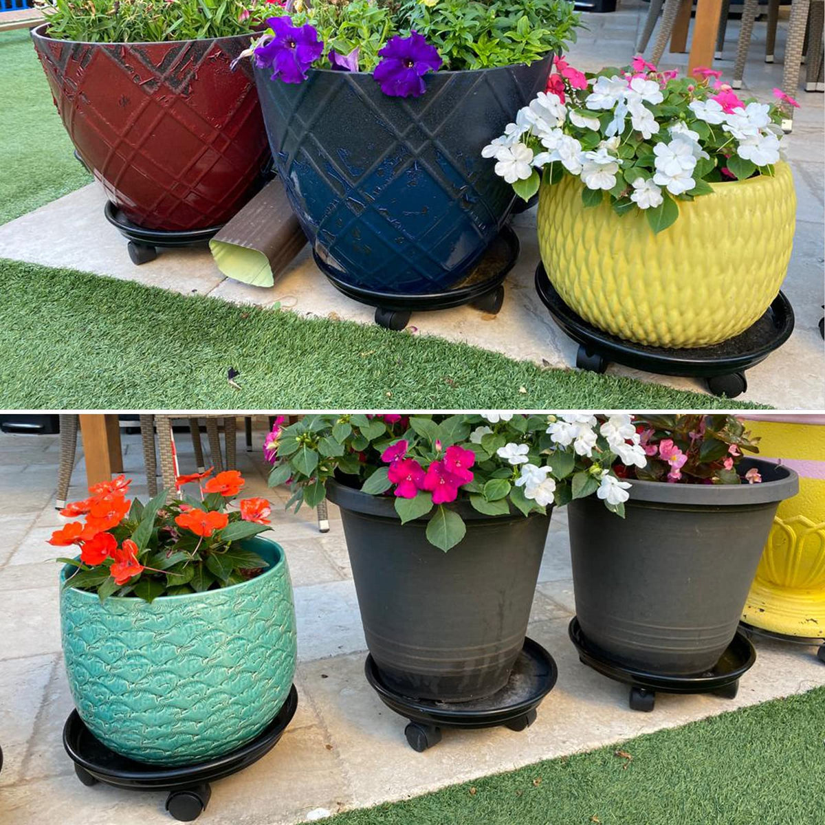 Planterhoma bulk-pack plant caddies ideal for multiple plants