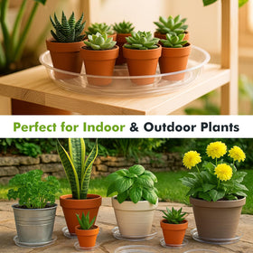 Planterhoma clear 4-inch saucer shows water level under pot