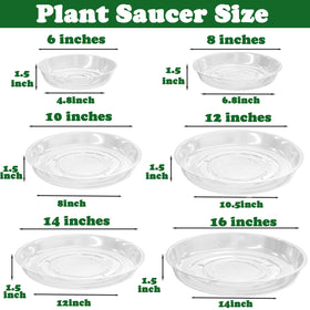 Planterhoma heavy-duty plant saucer supports indoor plants during daily use.