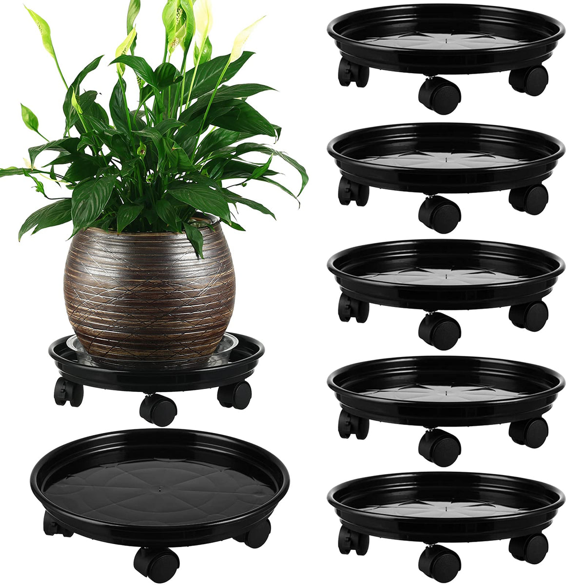 Planterhoma plant caddy with wheels enabling easy bulk pot movement