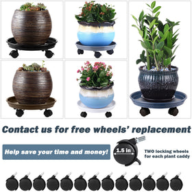 Planterhoma plant saucer on wheels catching water to protect floors