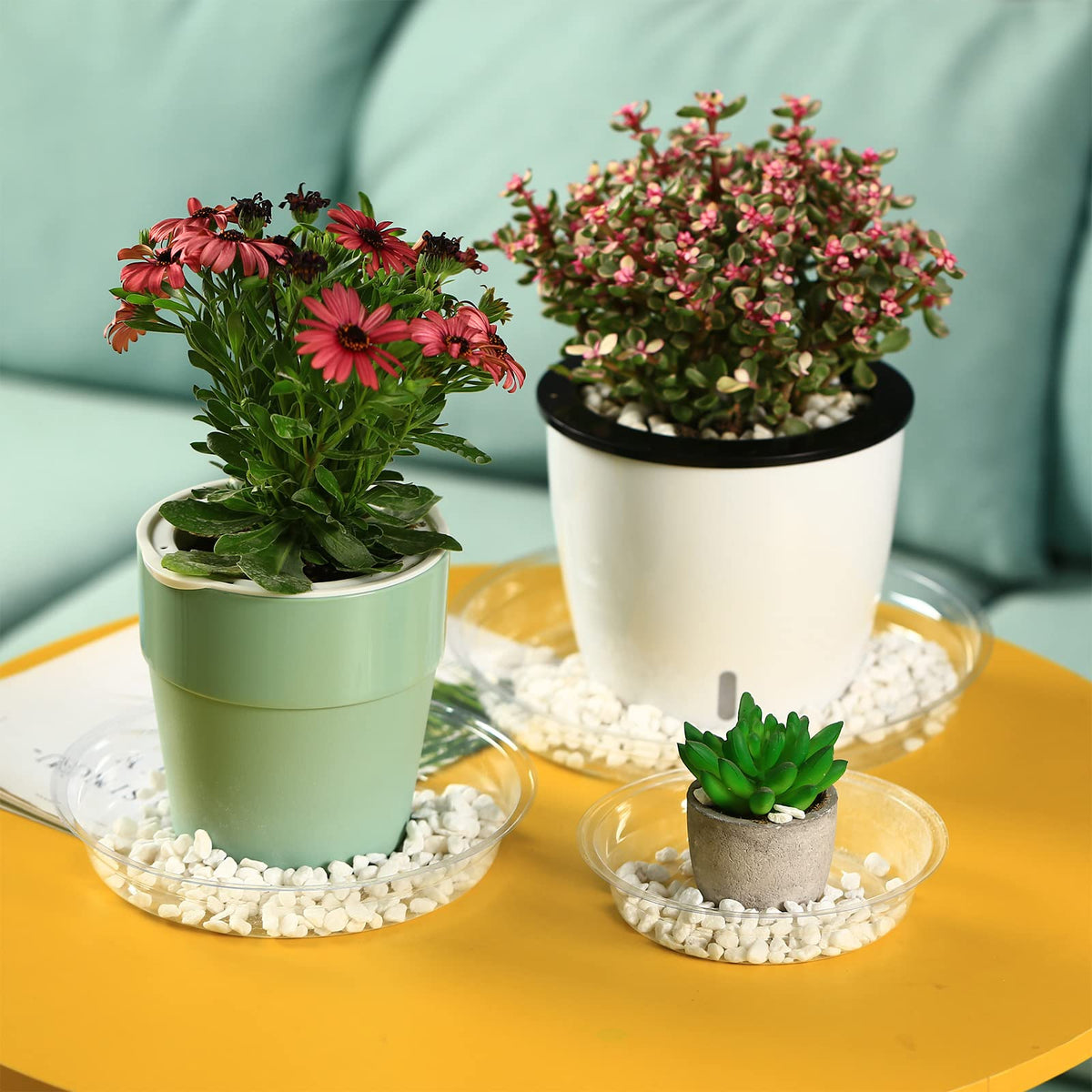 Planterhoma sturdy plastic 4-inch saucer resists cracking during watering