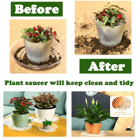 Planterhoma transparent drip tray provides a simple moisture management solution.