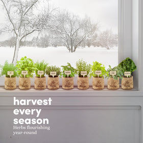 Planters' Choice 9 Herb Kit all-in-one setup with herbs.