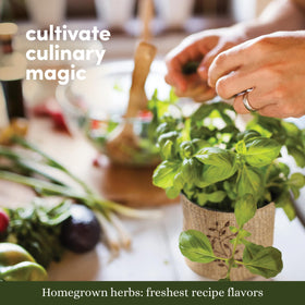 Planters' Choice 9 Herb Kit mustard greens growing healthily.