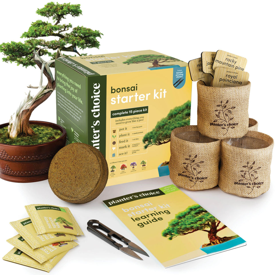 Planters' Choice Bonsai Starter Kit box showing contents for easy gifting