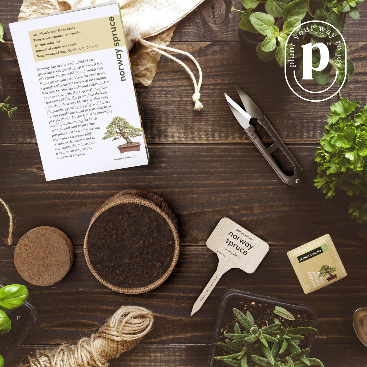 Planters' Choice Burlap grow pots enable sustainable bonsai starter setup