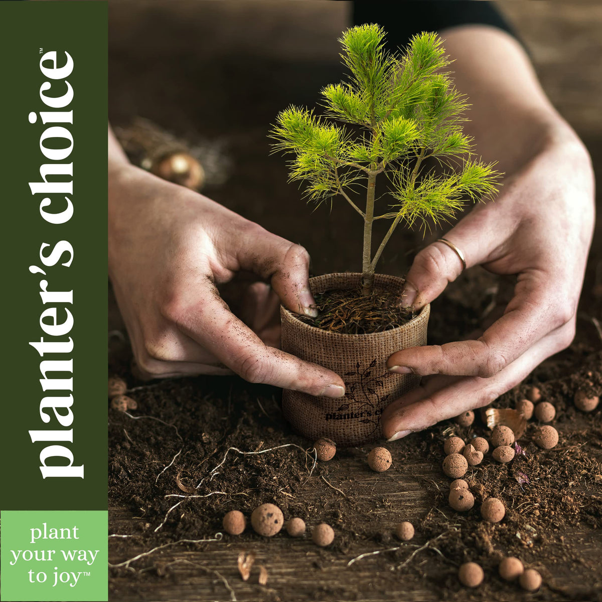 Planters' Choice Expanding-soil disc simplifies potting for beginners