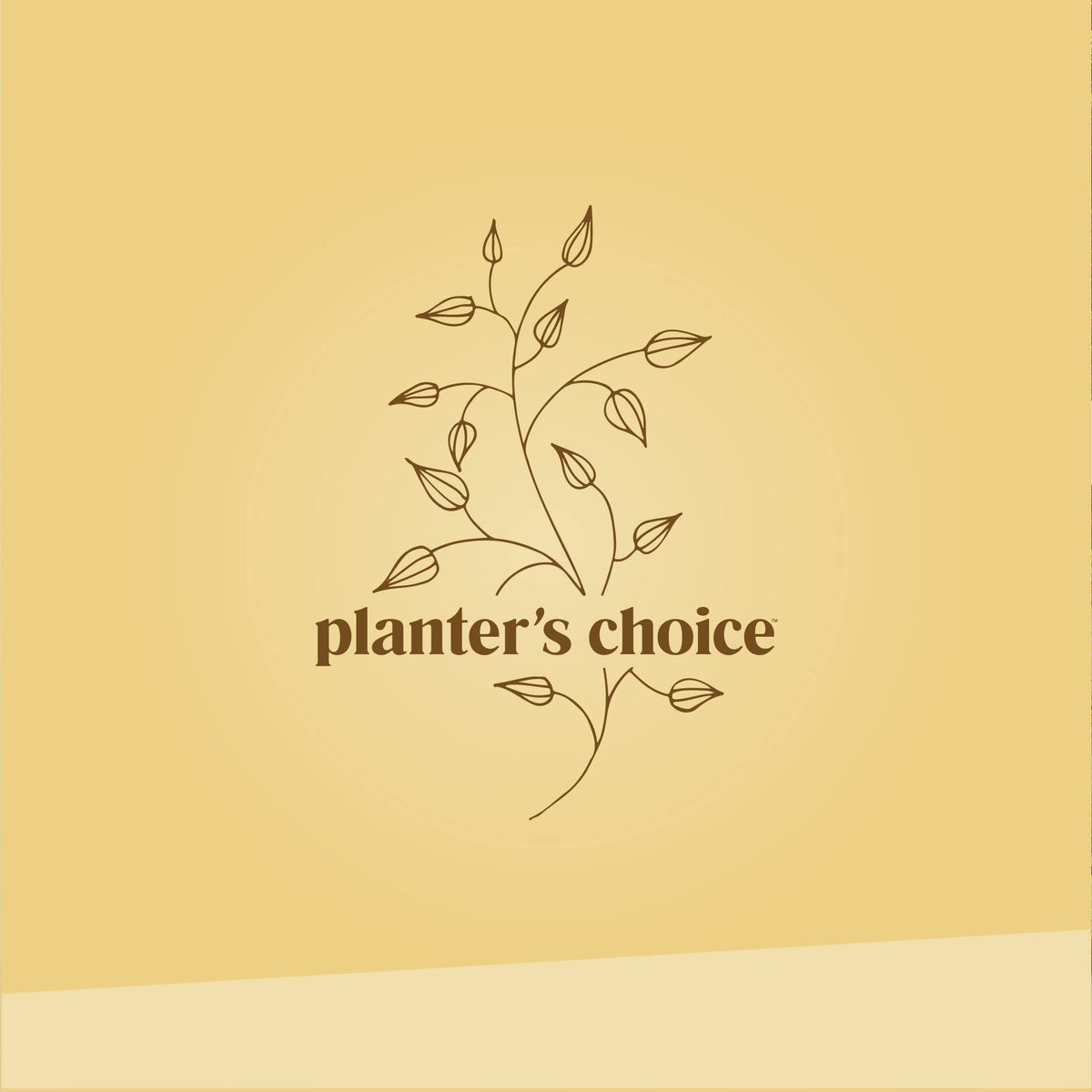 Planters' Choice Instruction booklet guides beginners through seed journeys