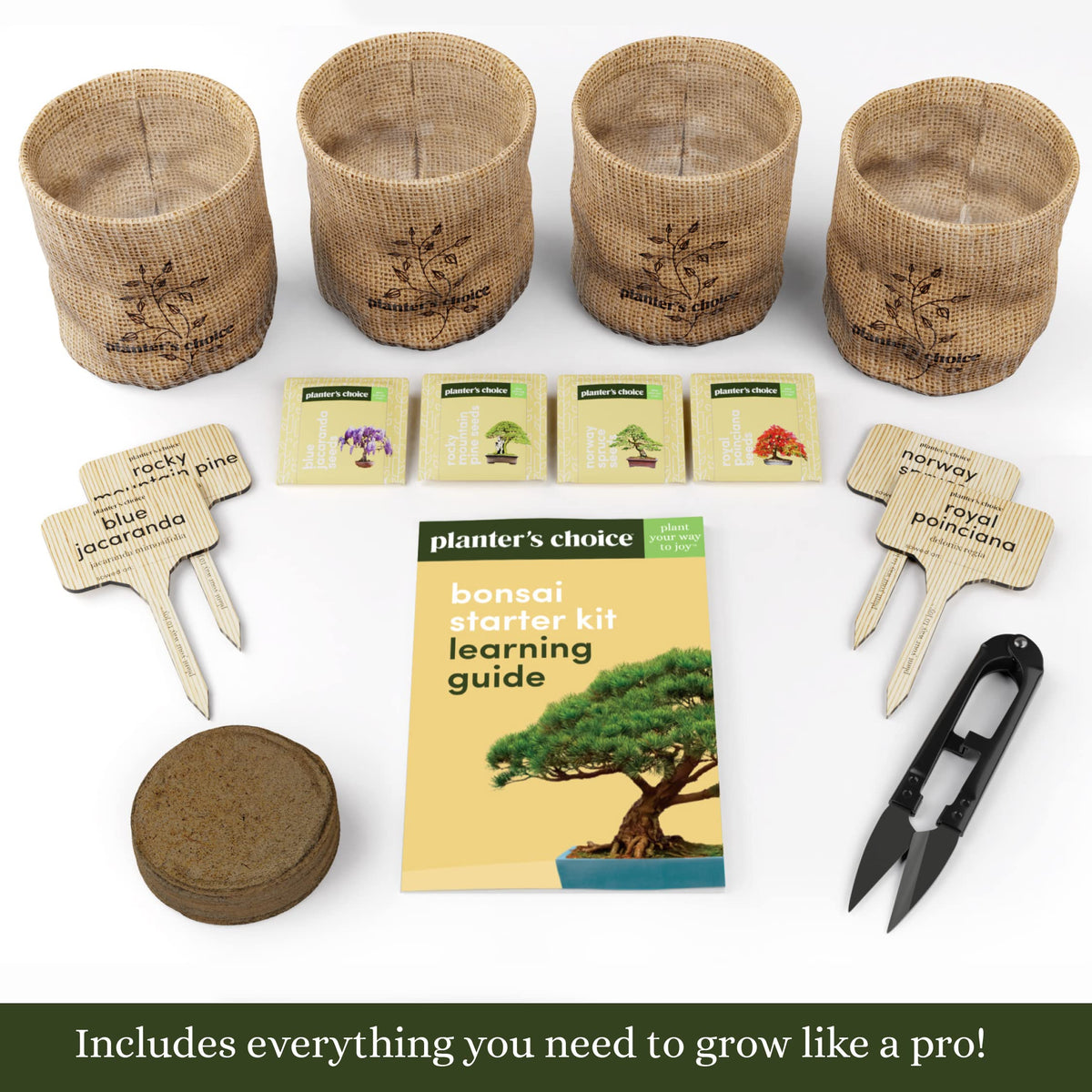 Planters' Choice Norway spruce seed packets highlight germination potential
