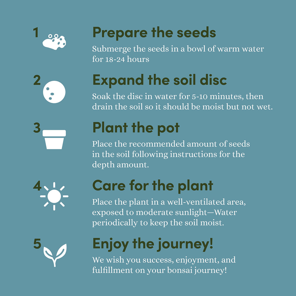 Planters' Choice Rocky Mountain Pine seed packets support versatile planting options