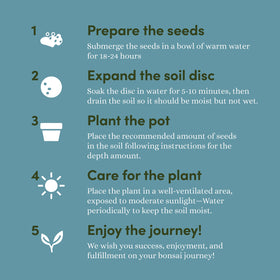 Planters' Choice Rocky Mountain Pine seed packets support versatile planting options