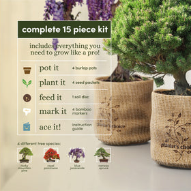 Planters' Choice Royal Poinciana seed packets ready for indoor growth