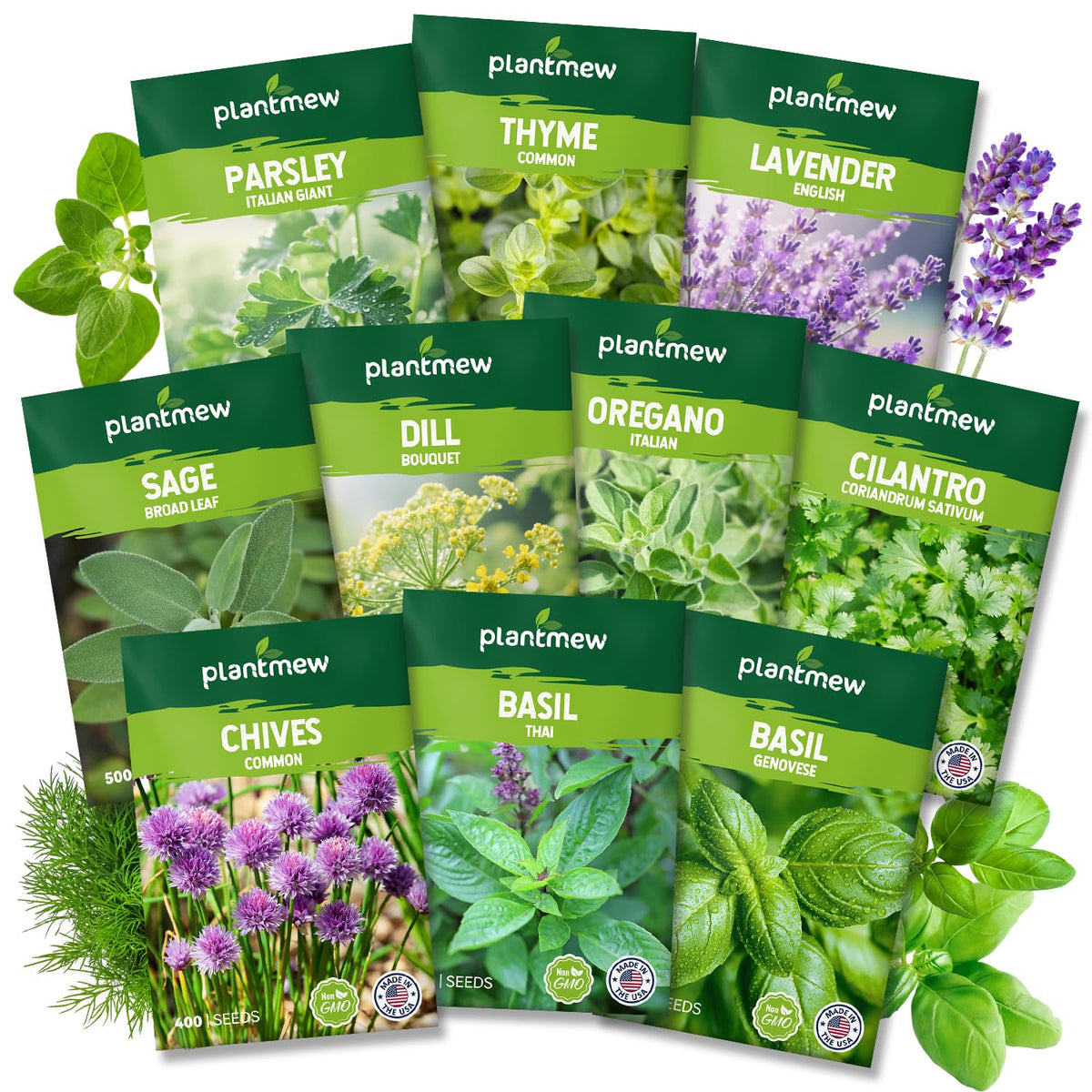 PLANTMEW 10 herb seed variety pack ready to start a home garden