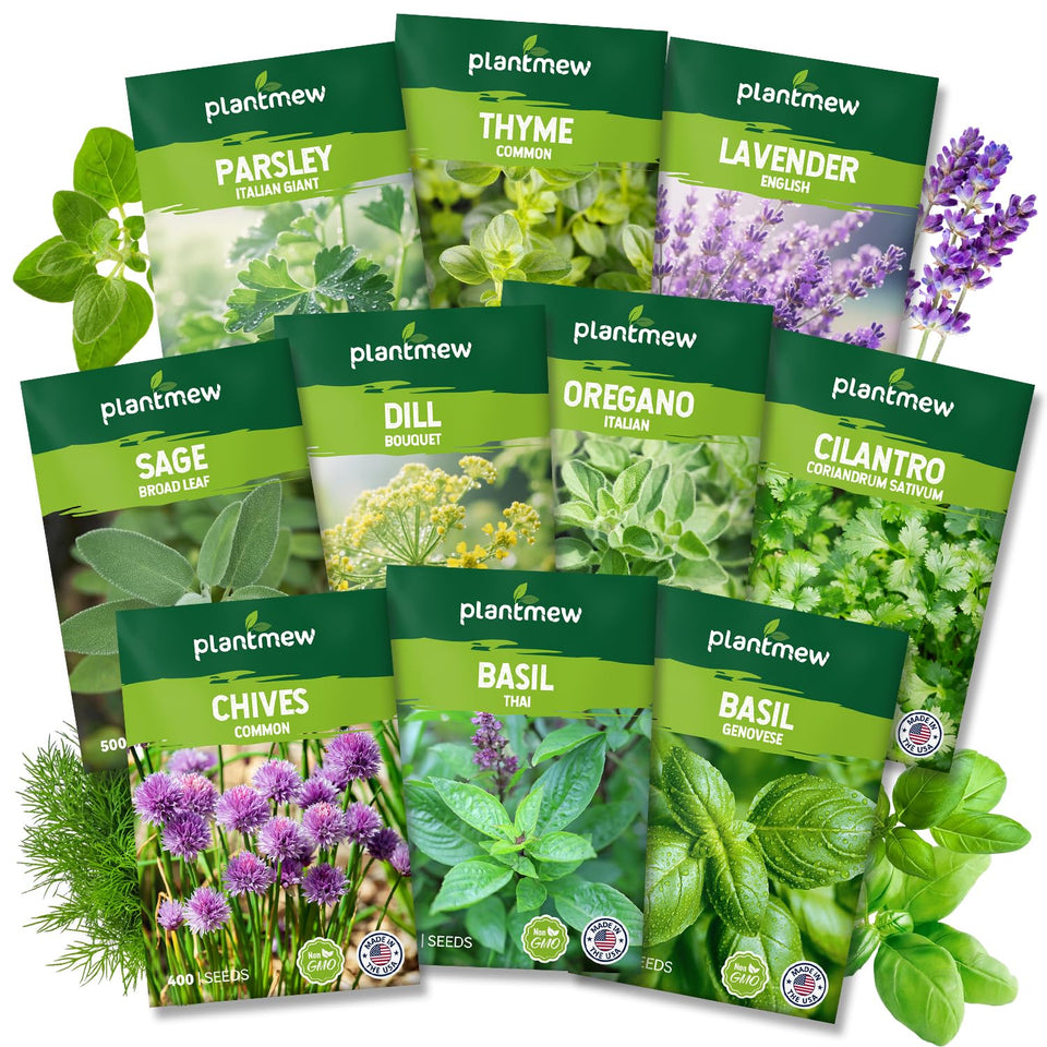 PLANTMEW 10 herb seed variety pack ready to start a home garden