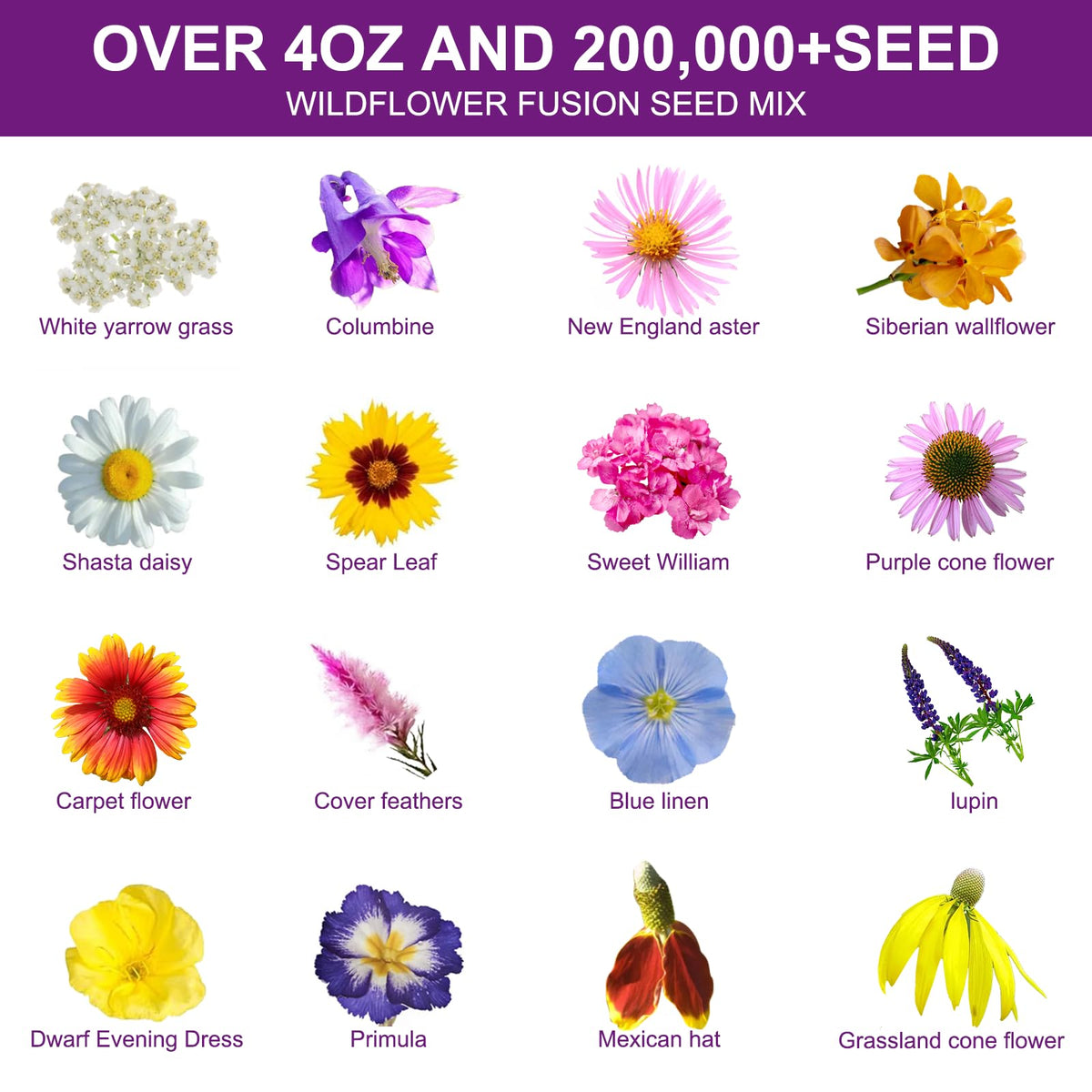 PLANTMEW 16-varieties perennial seed mix boosts garden biodiversity