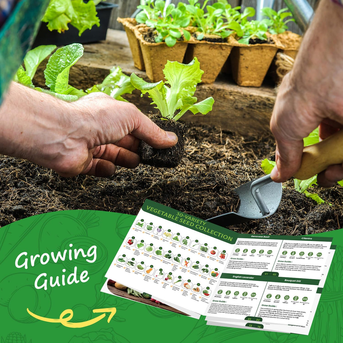PlantMew cucumber vines growing for refreshing summer snacks.