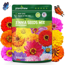PLANTMEW 5000+ seed bulk pack showing dense zinnia seeds for beds