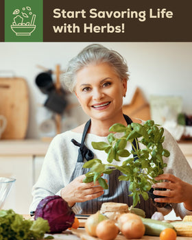 PLANTMEW 8 Herb Kit fresh harvest for flavorful meals.