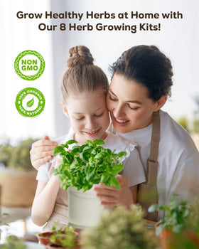PLANTMEW 8 Herb Kit garden setup creating fresh herbs at home.
