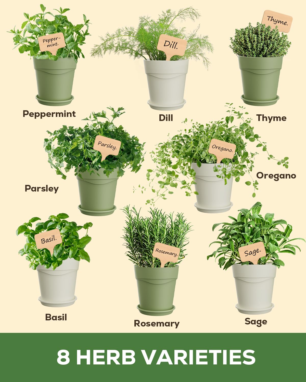 PLANTMEW 8 Herb Kit seeds ready for quick indoor growth.