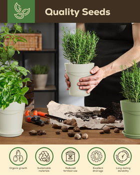 PLANTMEW 8 Herb Kit soil components supporting healthy root growth.