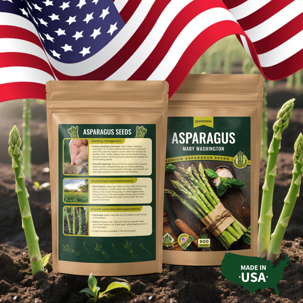 PLANTMEW Mary Washington asparagus plants thrive in a sunlit garden bed.