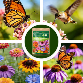 PLANTMEW beds and borders with meadow-ready flowering options