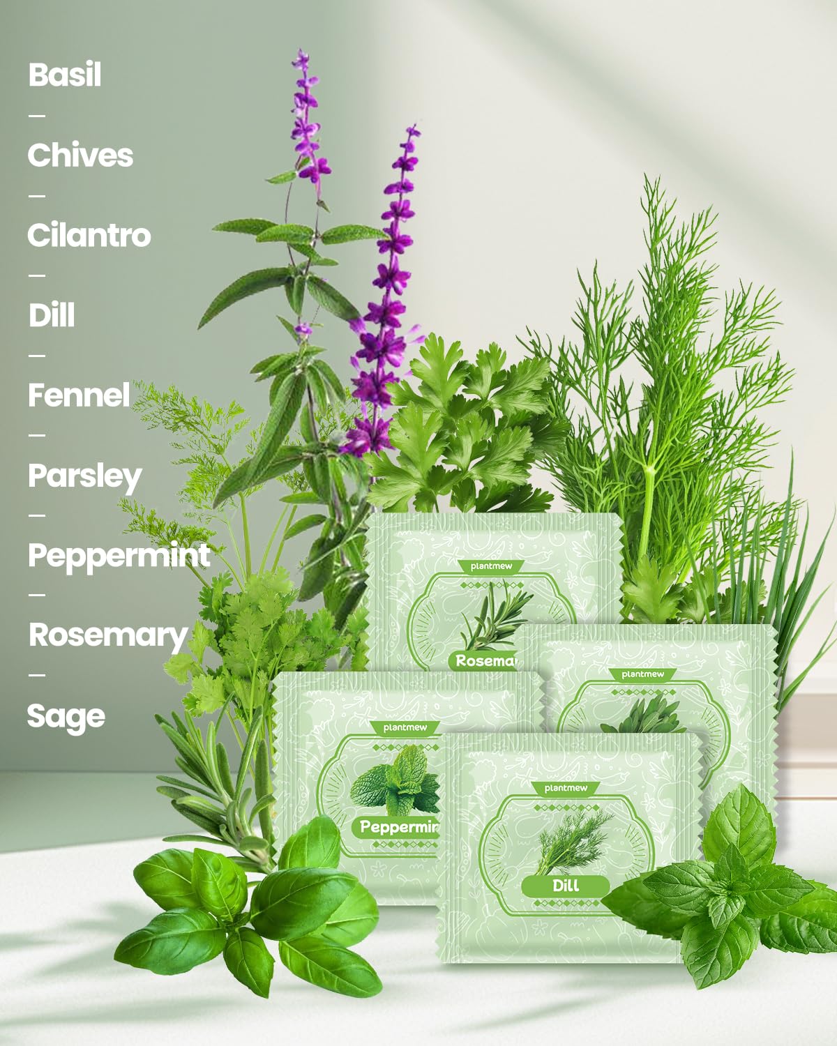 Biodegradable pots for a sustainable indoor herb garden