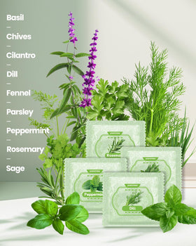 Biodegradable pots for a sustainable indoor herb garden