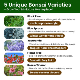 PLANTMEW Bonsai Kit ceramic planters and pruning tools for neat bonsai results.