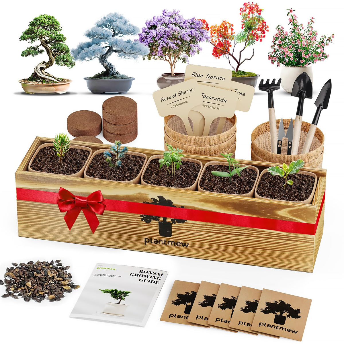 PLANTMEW Bonsai Kit five varieties for indoor gardening and calming hobbies.