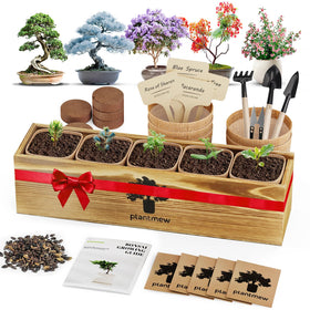 PLANTMEW Bonsai Kit five varieties for indoor gardening and calming hobbies.