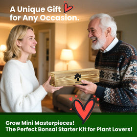 PLANTMEW Bonsai Kit compact indoor setup for small spaces and quick start.