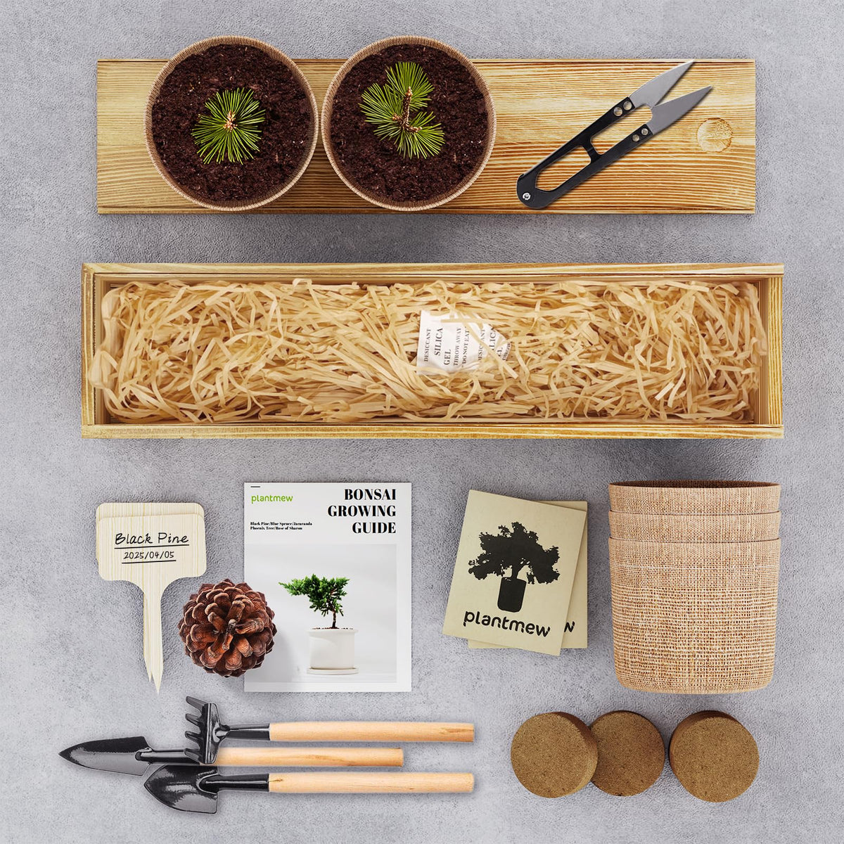 PLANTMEW Bonsai Kit starter tools for precise pruning and easy shaping.