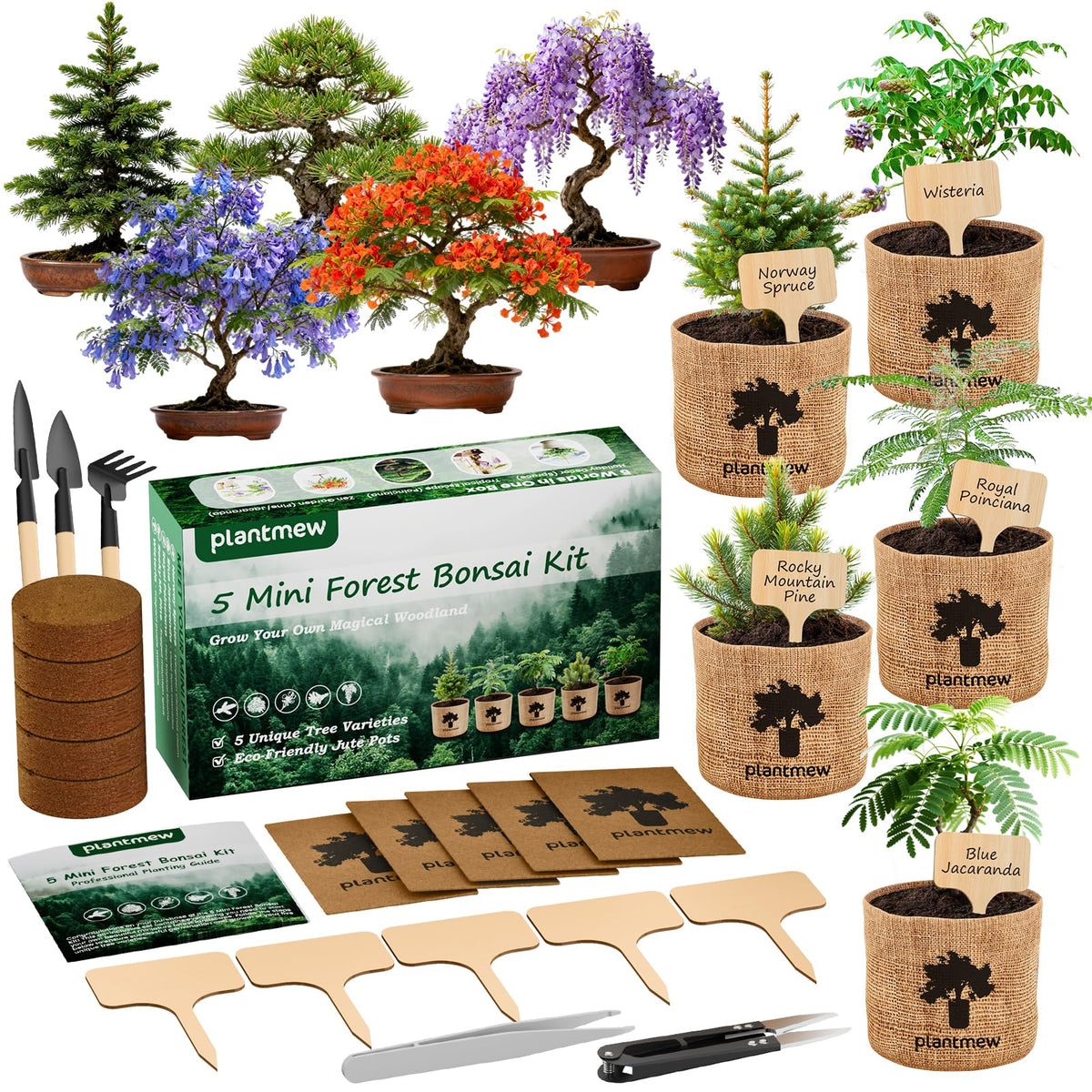 PLANTMEW bonsai starter kit packaging shown for a gift-ready experience.